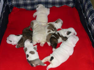 babiesat16daysold.jpg