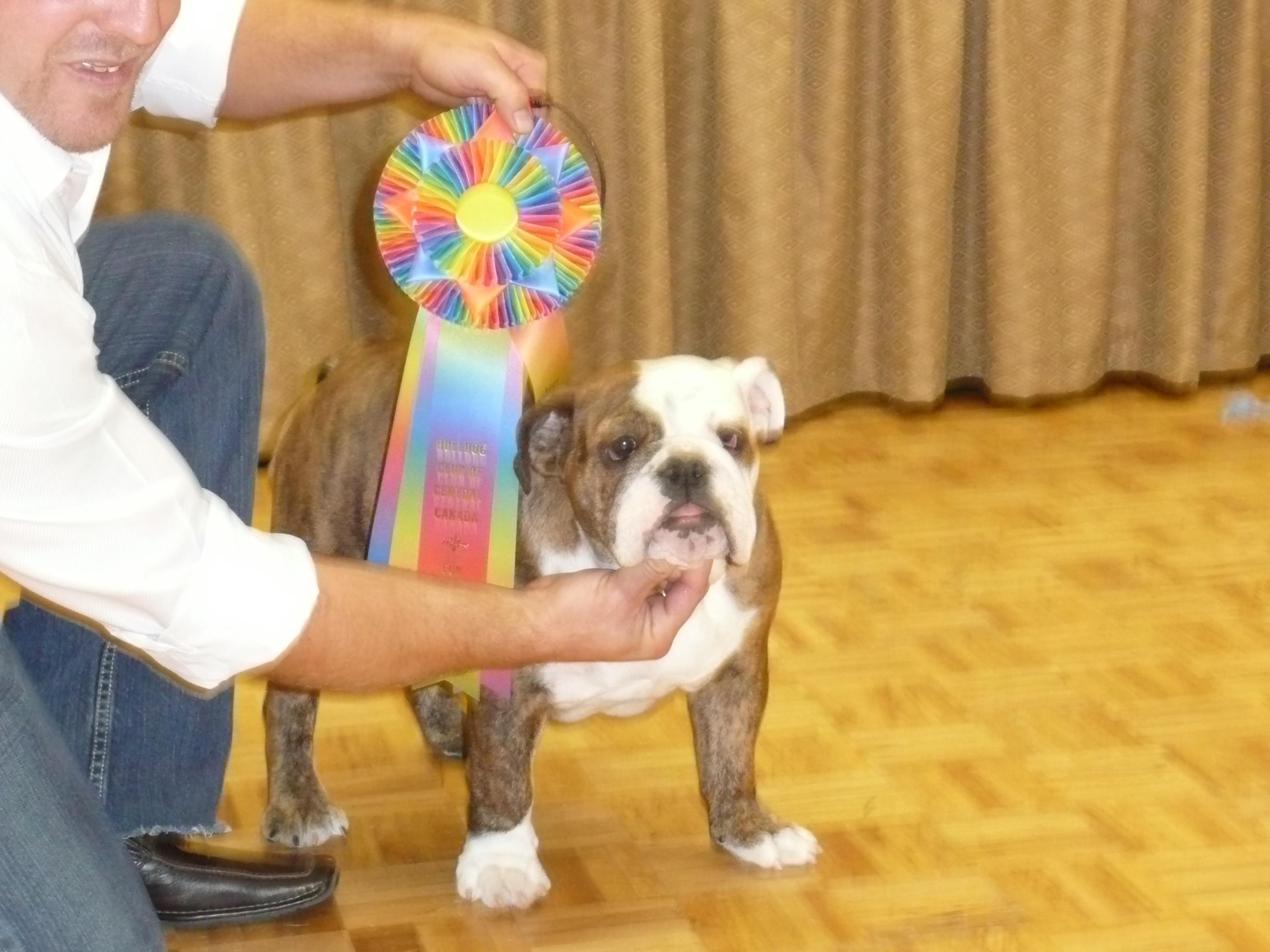 brandywinner2007.jpg