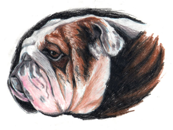 charlenebulldog.jpg